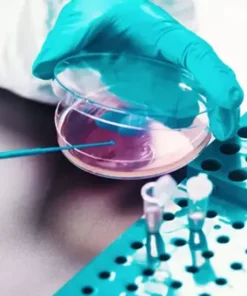 Afb Antibiotic Susceptibility, 5 Drugs