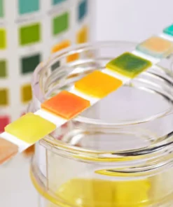 URINE SUGAR, FASTING