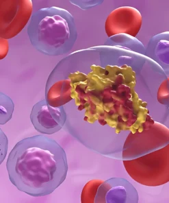 CPK, ISOENZYMES, SERUM