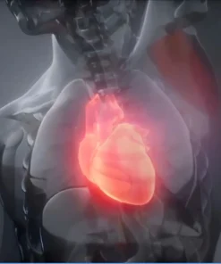 CPK, MB FRACTION (MASS), SERUM