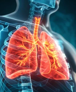 ANA,  17  ANTIGENS IMMUNOBLOT, SERUM