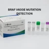 BRAF V600E MUTATION DETECTION