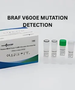BRAF V600E MUTATION DETECTION