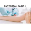 ANTENATAL BASIC II
