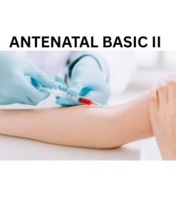 ANTENATAL BASIC II