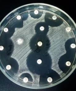 CULTURE, AEROBIC & SUSCE- PTIBILITY, MISCELLANEOUS