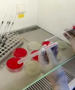 CULTURE, AEROBIC & SUSCE- PTIBILITY,VAGINAL SWAB