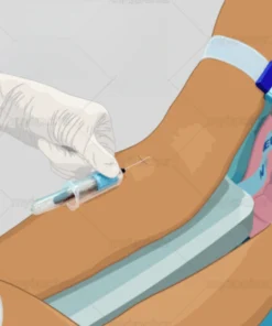 Sm Antibody Smith Antibody Serum