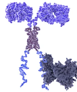 CYTOKINE ASSAY-7 MARKERS