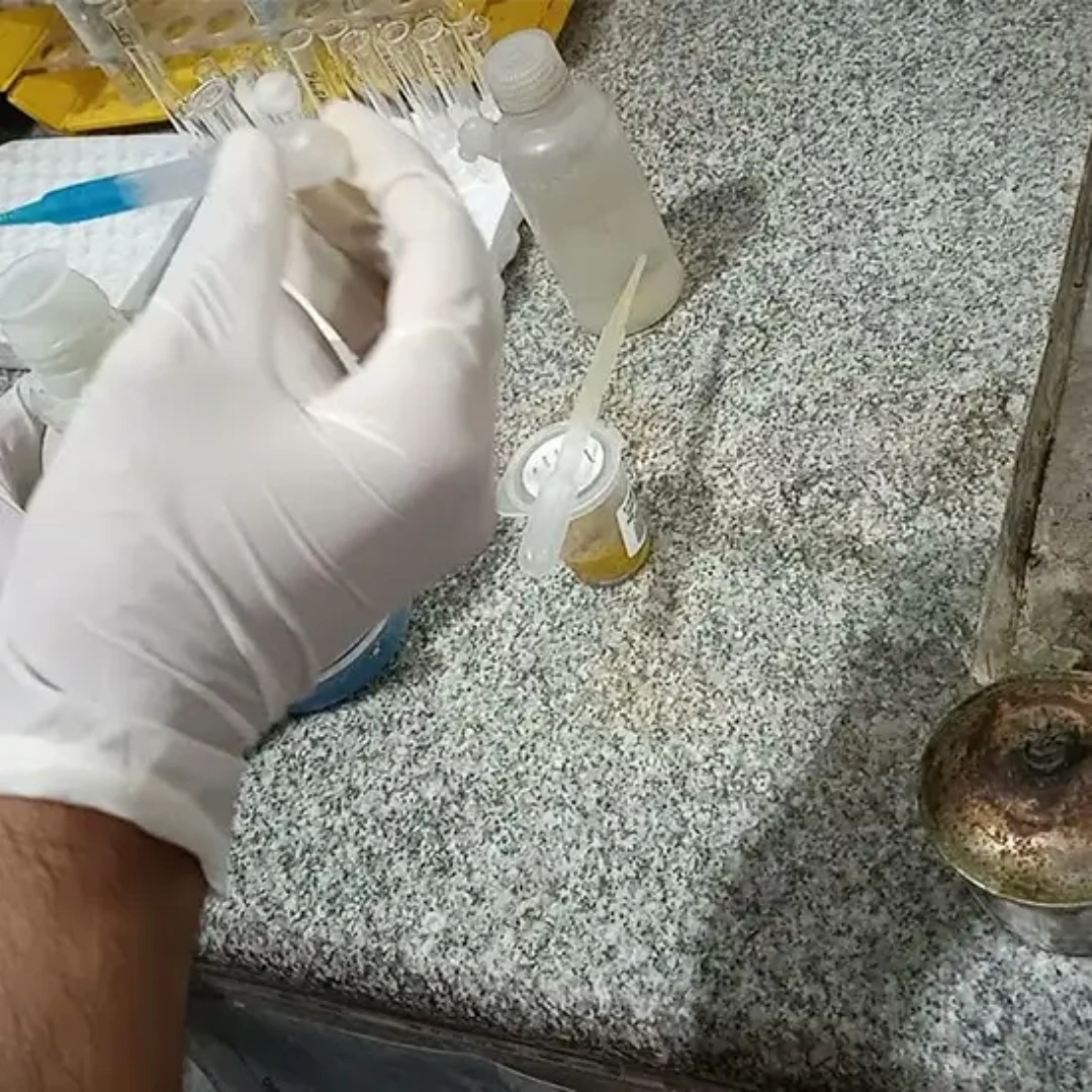 Stool For Reducing Substances