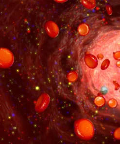 DELETION 11Q ATM (CLL) LEUKEMIC BLOOD