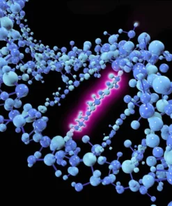 Jak-2 Mutation (Exon 12)