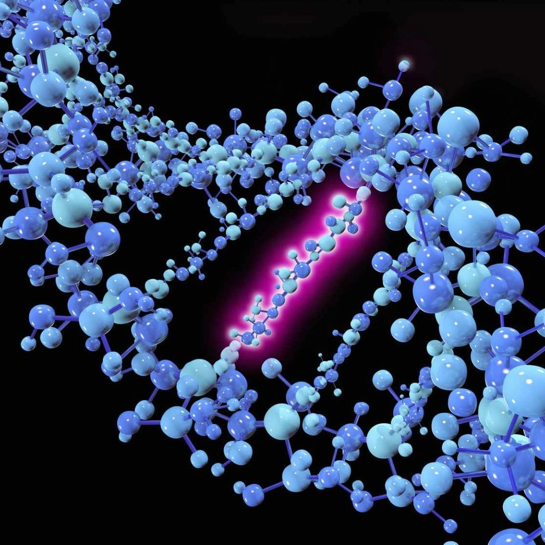 Jak-2 Mutation (Exon 12)