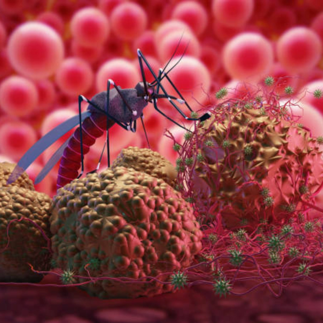 DENGUE EARLY ANTIGEN (NS1 ANTIGEN), SERUM