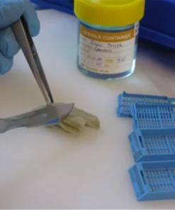 Histopathology, Medium Specimen*