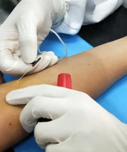 Igf Binding Protein-3