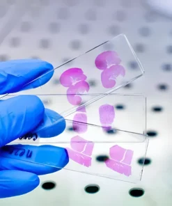 Ihc-Customised Single Marker