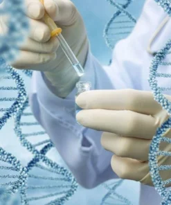 Imatinib Resistance Bcr Abl1 Mutation Analysis