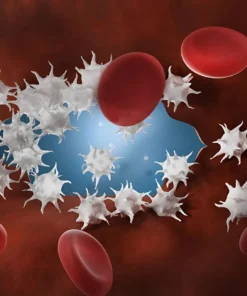 Lupus Anticoagulant Screening (Drvvt), Plasma