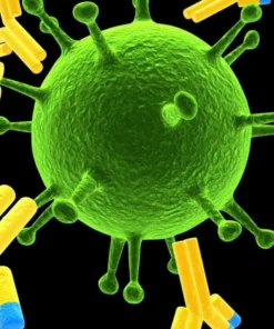 Immunoglobulin A (Iga), Serum