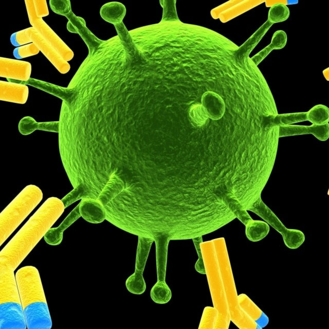 Immunoglobulin A (Iga), Serum