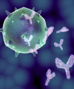 Immunoglobulin M (Igm), Serum