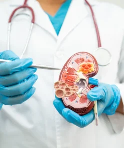 BLOOD UREA NITROGEN (BUN), SERUM