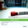 HEMOPHILIA PANEL