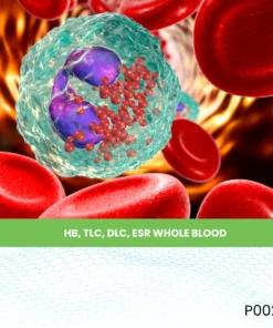 HB, TLC, DLC, ESR WHOLE BLOOD