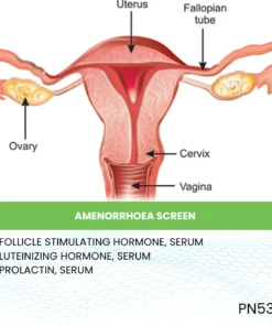 AMENORRHOEA SCREEN