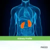 Kidney Profile.