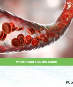 Protein And Albumin, Serum