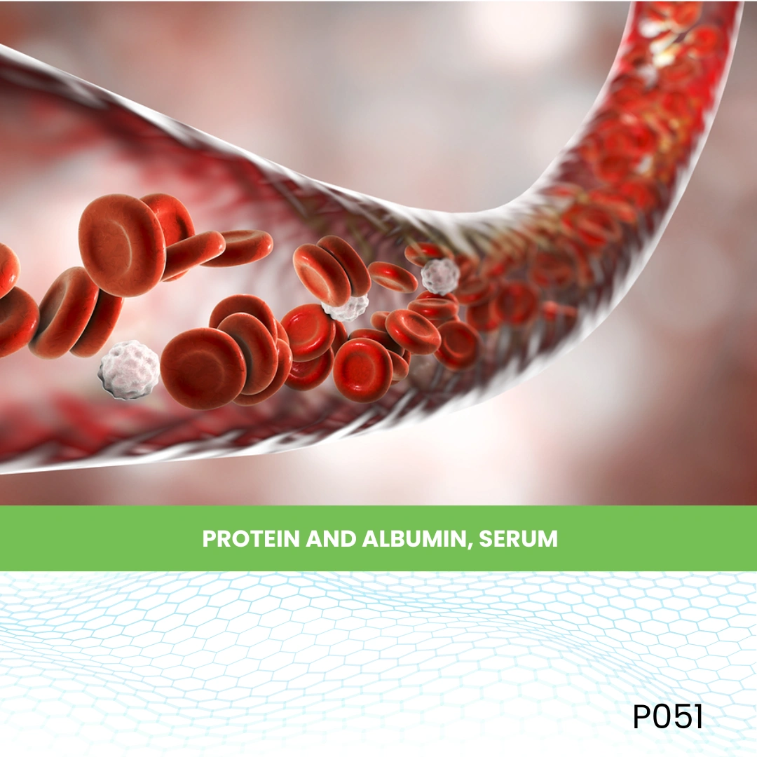 Protein And Albumin, Serum