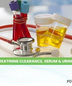 CREATININE CLEARANCE, SERUM & URINE
