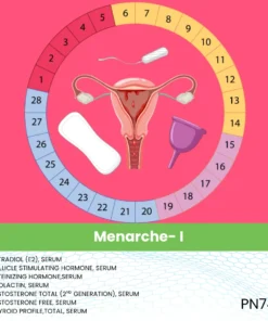 Menarche- I