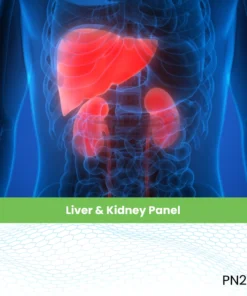 Liver & Kidney Panel
