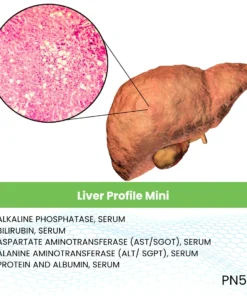 Liver Profil Mini