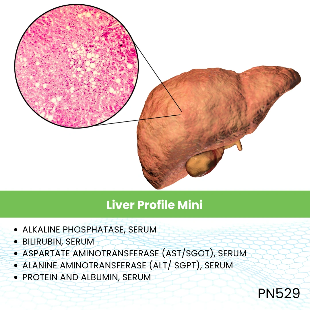 Liver Profil Mini