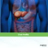 Liver Profile.