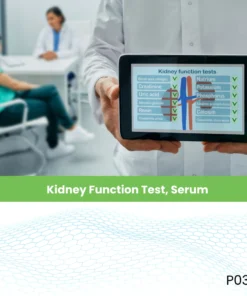 Kidney Function Test, Serum