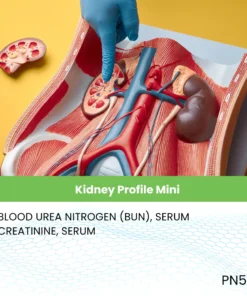 Kidney Profile Mini