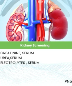 Kidney Screening