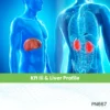Kft Iii & Liver Profile
