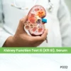 Kidney Function Test Iii (Kft Iii), Serum