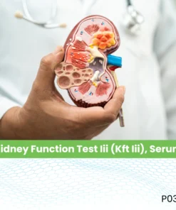 Kidney Function Test Iii (Kft Iii), Serum