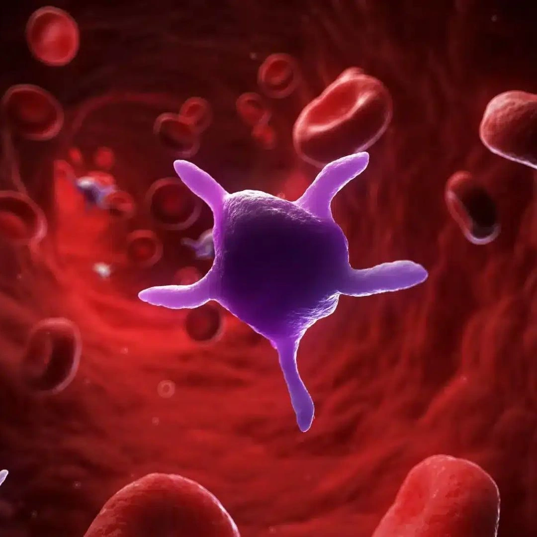 Mean Platelet Volume