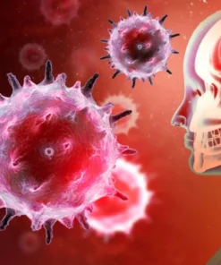 Meningitis Viral Panel