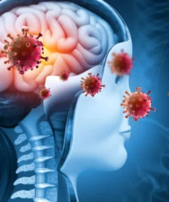 Meningoencephalitis Panel