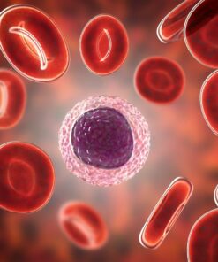 Absolute Lymphocyte Count (Alc), Whole Blood