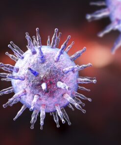 Mono Spot Test For Infec- Tious Mononucleosis